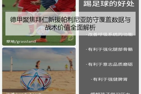 德甲聚焦拜仁新援帕利尼亚防守覆盖数据与战术价值全面解析
