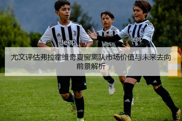 尤文评估弗拉霍维奇夏窗离队市场价值与未来去向前景解析